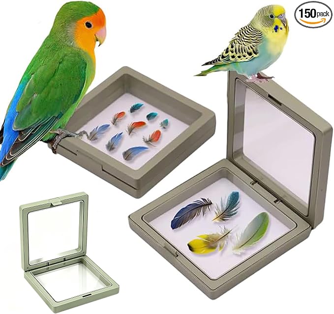 Pet Bird Feather Storage Box Small Compact Bird Display Box Parrot Colorful Feather Permanent PE Film Container HD Transparent Blocking Air Anti-Pollution (Green 2 Pack) by Unknown