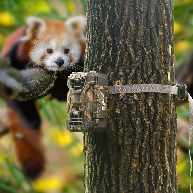 WingHome Wildlife Trail Camera Mounting Straps - Image 5