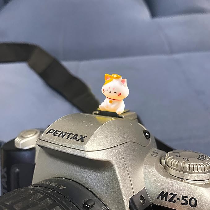 Camera Hot Shoe Cover, Cute Hot Shoe Cap, Hot Shoe Protector Compatible with Sony Fujifilm Fuji Canon Nikon Pentax Leical Panasonic (Lucky Cat) - Image 4