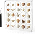 Acrylic Magnetic Seashell Display Case HD Panel with Tweezers | Large Upgraded Grids with Magnetic Snap, a Seashell Display Box for Collecting Shells, Jewelry, Crystals, Beads by MUXIUNT