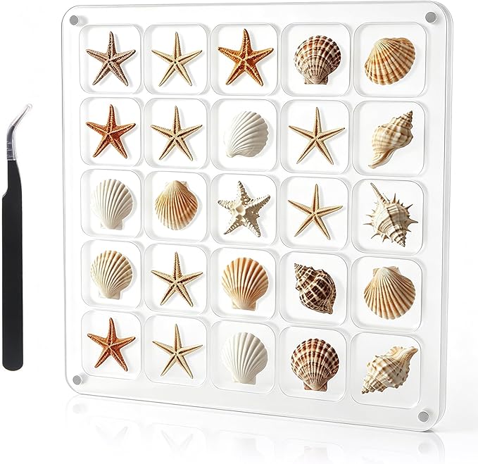 Acrylic Magnetic Seashell Display Case HD Panel with Tweezers | Large Upgraded Grids with Magnetic Snap, a Seashell Display Box for Collecting Shells, Jewelry, Crystals, Beads by MUXIUNT