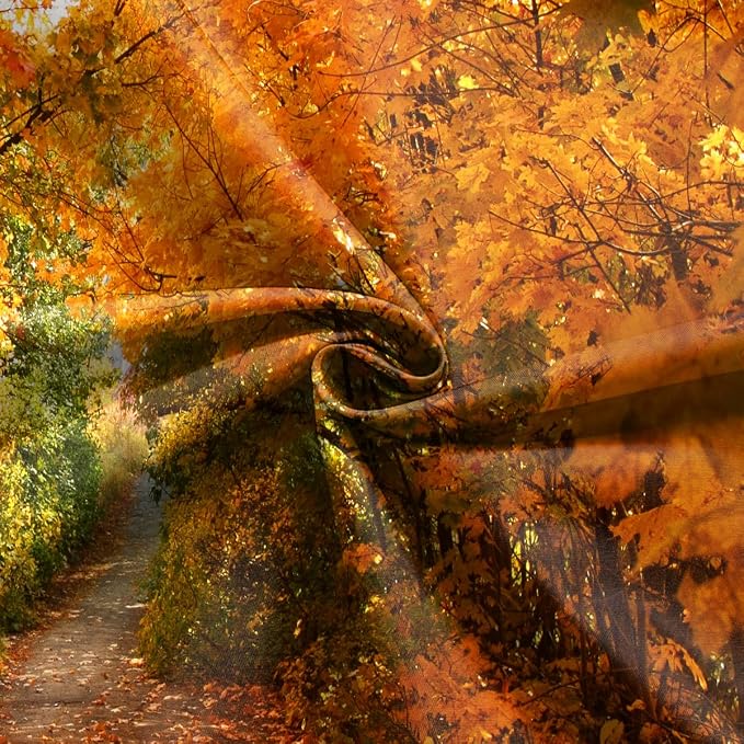 7x5 FT Fall Leaves Forest Autumn Backdrop Wedding Party Park Bridal Shower Theme Background for Photography YouTube Outdoor Travel Family Birthday Photo Props, Clear - Image 4
