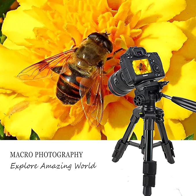 Mini Tripod for Camera,Zomei Travel Table Tripod with 3-Way Pan/Tilt Head 1/4 inches Quick Release Plate and Bag for DSLR Camera Tripod Carrying Bag - Image 2