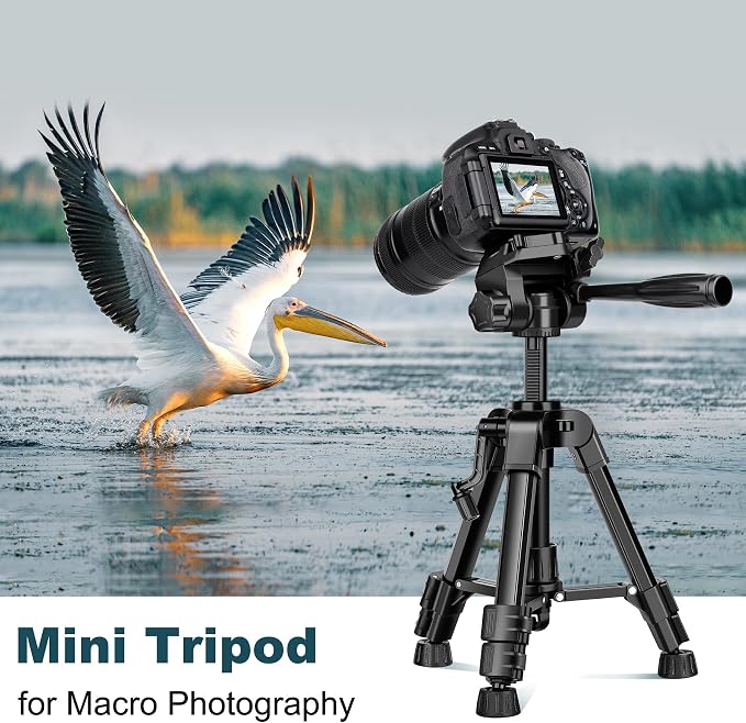 JOILCAN Mini Tripod for Camera, 25" Tabletop Camera Tripod, Portable Travel Tripod with Phone/Tablet Holder, Lightweight Aluminum Tripods for DSLR Phone Spotting Scope - Image 7