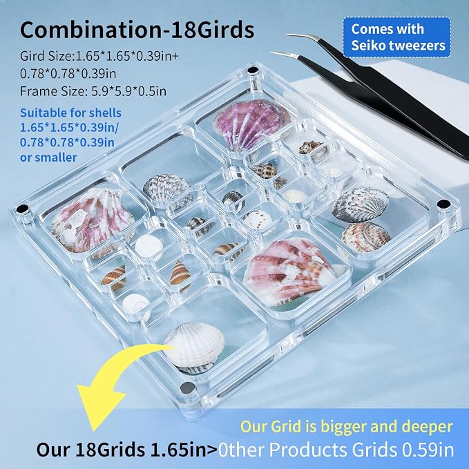 Acrylic Magnetic Seashell Display Case HD Panel with Tweezers | Large Upgraded Grids with Magnetic Snap, a Seashell Display Box for Collecting Shells, Jewelry, Crystals, Beads - Image 2
