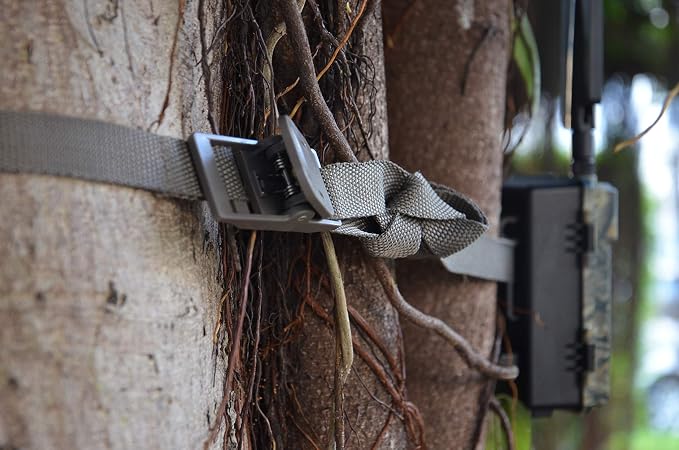 WingHome Wildlife Trail Camera Mounting Straps - Image 8