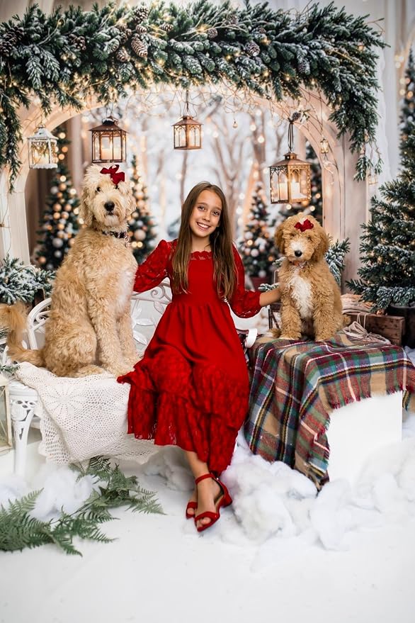 Kate Christmas Arch Door Backdrops Winter White Snow Land Photo Background Party Supplies Stduio Props, 8x8ft - Image 2