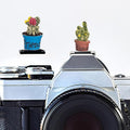 Camera Hot Shoe Cover, Cartoon Hot Shoe Cap, Hot Shoe Protector Compatible with Sony Fujifilm Fuji Canon Nikon Pentax Leical Panasonic (2pcs Friend Flower) by MENGSOOD