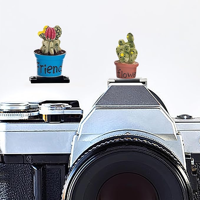 Camera Hot Shoe Cover, Cartoon Hot Shoe Cap, Hot Shoe Protector Compatible with Sony Fujifilm Fuji Canon Nikon Pentax Leical Panasonic (2pcs Friend Flower) by MENGSOOD