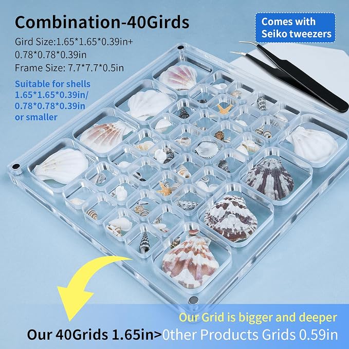 Acrylic Magnetic Seashell Display Case HD Panel with Tweezers | Large Upgraded Grids with Magnetic Snap, a Seashell Display Box for Collecting Shells, Jewelry, Crystals, Beads - Image 2