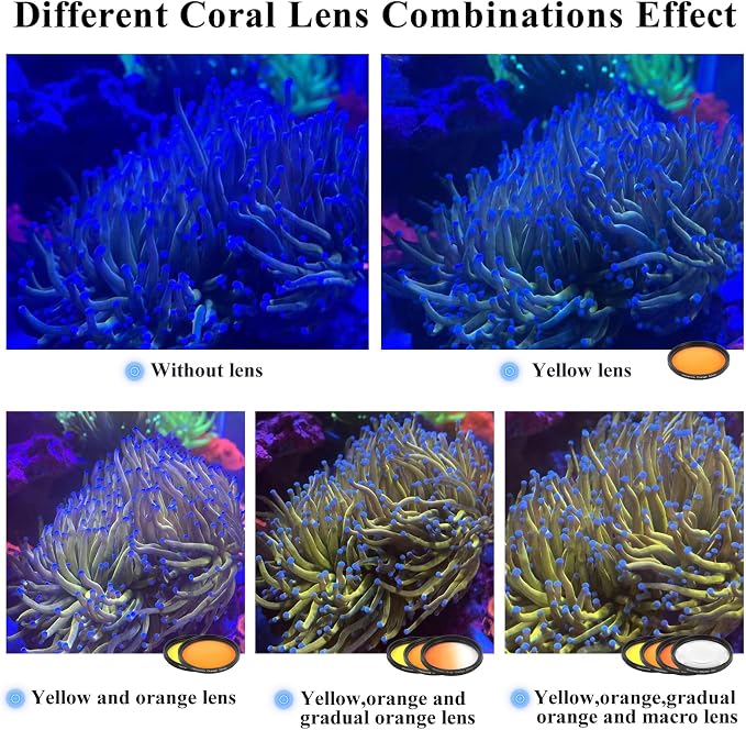 Coral Lens Aquarium Reef Filter Lens Kits for Phone 8 Coral Lenses Kit Including Orange Gradual-Orange Yellow Gradual-Yellow Pink Macro Start and Polarized CPL len - Image 3