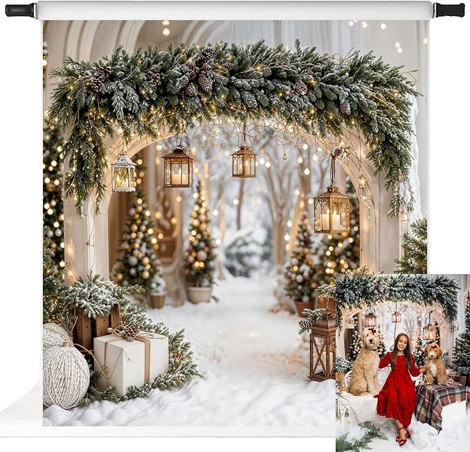 Kate Christmas Arch Door Backdrops Winter White Snow Land Photo Background Party Supplies Stduio Props, 10x10ft by KateBackdropforPhotography