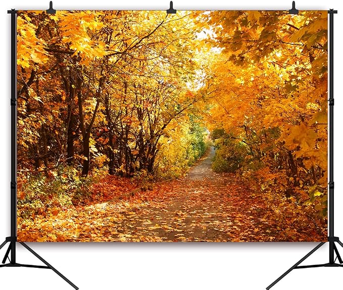 7x5 FT Fall Leaves Forest Autumn Backdrop Wedding Party Park Bridal Shower Theme Background for Photography YouTube Outdoor Travel Family Birthday Photo Props, Clear - Image 2