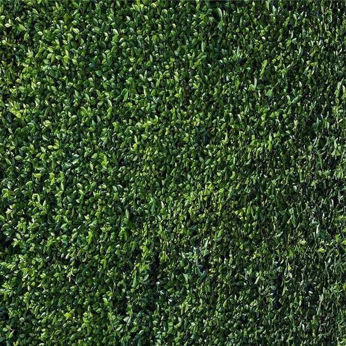 Nature Spring 3D Green Leaves Theme Photo Background Wedding Birthday Party Newborn Baby Shower Photography Backdrops Zoo Decor Shoot Props Bannner (6x6 FT) - Image 3