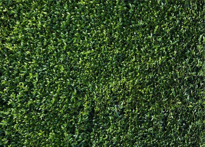 Nature Spring 3D Green Leaves Theme Photo Background Wedding Birthday Party Newborn Baby Shower Photography Backdrops Zoo Decor Shoot Props Bannner (7x5 FT) - Image 7