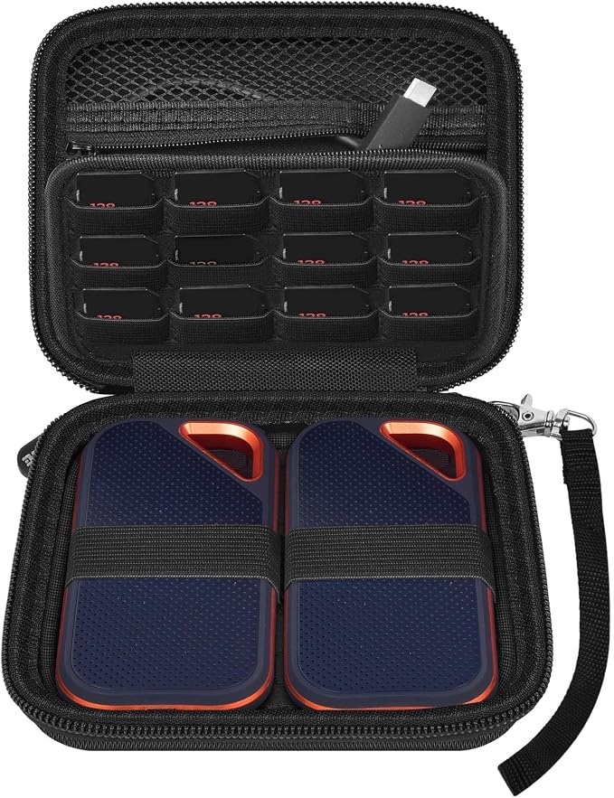 PAIYULE Dual SSD Case for 2 SanDisk Extreme Portable SSDs & Extreme PRO | Elastic Straps Secure Two Drives, Mesh Pocket Organizes Cables, Carabiner Adds Portability, Black, Case Only by paiyule