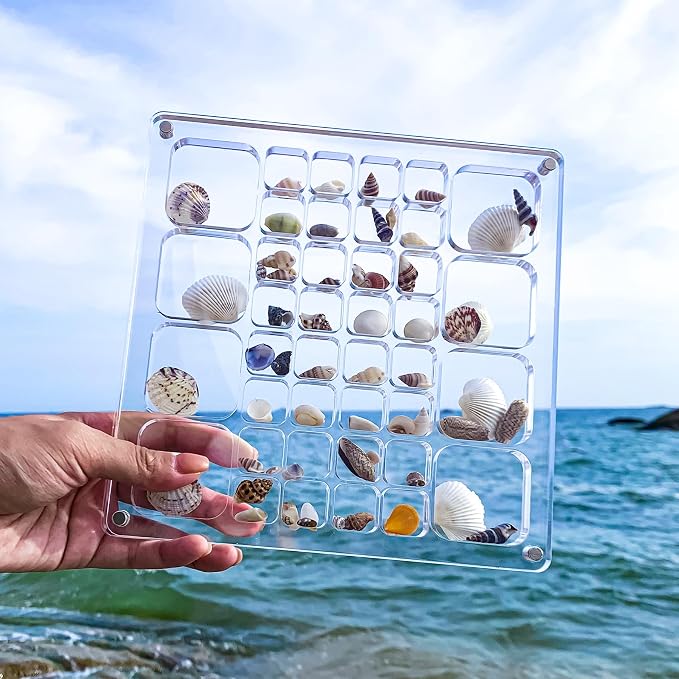 Acrylic Magnetic Seashell Display Case HD Panel with Tweezers | Large Upgraded Grids with Magnetic Snap, a Seashell Display Box for Collecting Shells, Jewelry, Crystals, Beads - Image 4