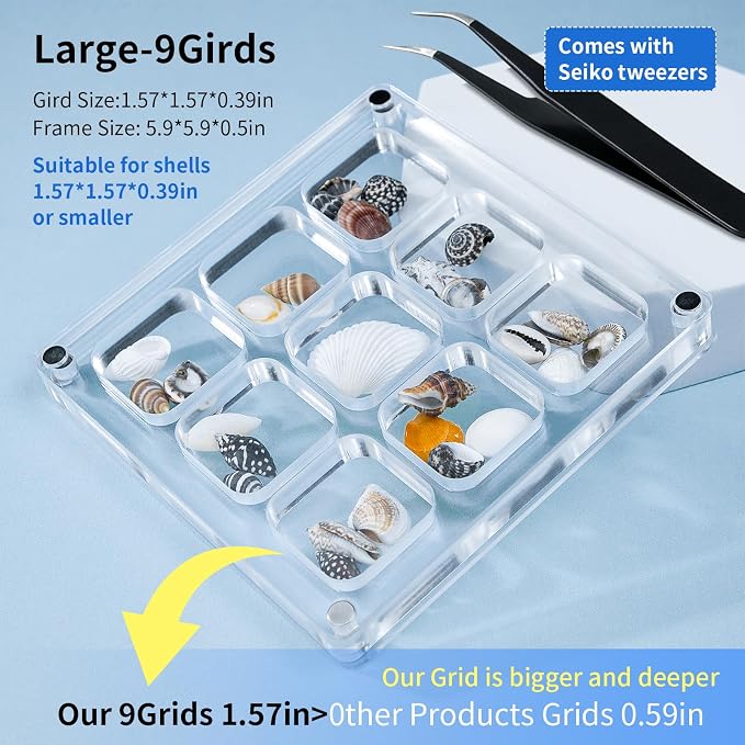 Acrylic Magnetic Seashell Display Case HD Panel with Tweezers | Large Upgraded Grids with Magnetic Snap, a Seashell Display Box for Collecting Shells, Jewelry, Crystals, Beads - Image 2