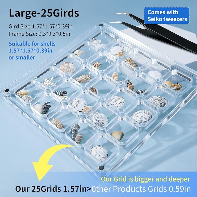 Acrylic Magnetic Seashell Display Case HD Panel with Tweezers | Large Upgraded Grids with Magnetic Snap, a Seashell Display Box for Collecting Shells, Jewelry, Crystals, Beads - Image 2