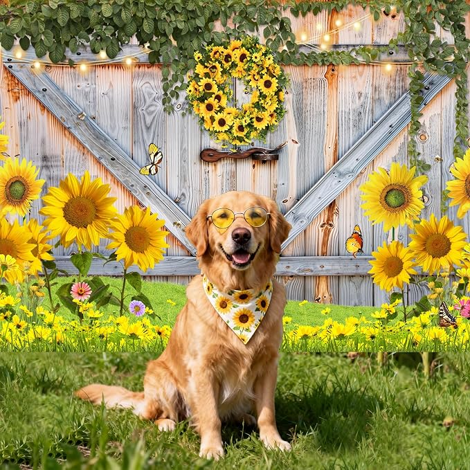 Sunflower Photo Backdrop for Photography, 10x8ft | Vinyl Wall Background for Photoshoot, Yellow Flower, Rustic Barn Wood Door, for Birthday Decorations, Outdoor Party - Image 6
