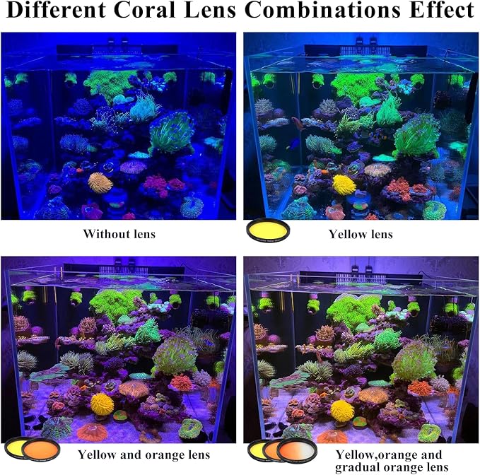 Coral Lens Aquarium Reef Filter Lens Kits for Phone 8 Coral Lenses Kit Including Orange Gradual-Orange Yellow Gradual-Yellow Pink Macro Start and Polarized CPL len - Image 2