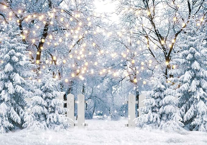 7x5FT Blue Winter Forest Scene Photography Backdrop Wonderland Snowflake Landscape Background for Christmas Xmax Family Holiday Party Decorations Supplies Banner Picture Photo Studio Props by Felortte