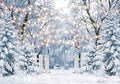 10x8FT Blue Winter Forest Scene Photography Backdrop Wonderland Snowflake Landscape Background for Christmas Xmax Family Holiday Party Decorations Supplies Banner Picture Photo Studio Props by Felortte