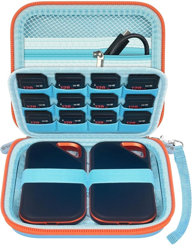 PAIYULE Dual SSD Case for 2 SanDisk Extreme Portable SSDs & Extreme PRO | Elastic Straps Secure Two Drives, Mesh Pocket Organizes Cables, Carabiner Adds Portability, Blue, Case Only by paiyule