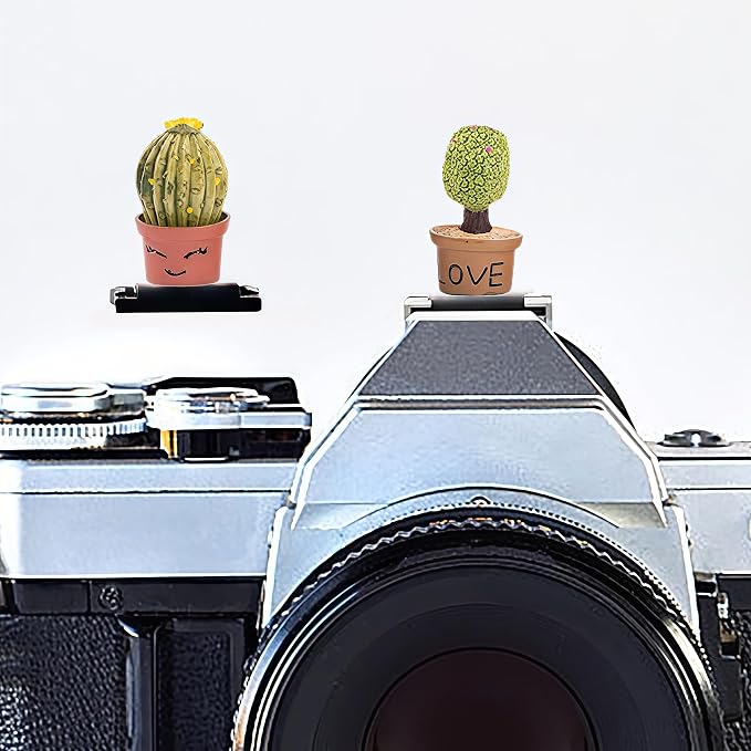Camera Hot Shoe Cover, Cartoon Hot Shoe Cap, Hot Shoe Protector Compatible with Sony Fujifilm Fuji Canon Nikon Pentax Leical Panasonic (2pcs Love) by MENGSOOD