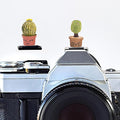 Camera Hot Shoe Cover, Cartoon Hot Shoe Cap, Hot Shoe Protector Compatible with Sony Fujifilm Fuji Canon Nikon Pentax Leical Panasonic (2pcs Love) by MENGSOOD