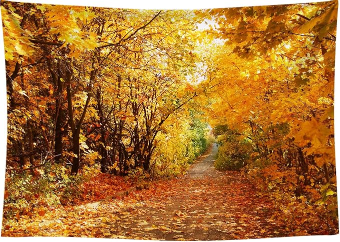 7x5 FT Fall Leaves Forest Autumn Backdrop Wedding Party Park Bridal Shower Theme Background for Photography YouTube Outdoor Travel Family Birthday Photo Props, Clear - Image 7