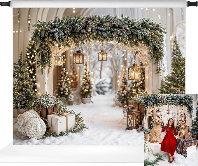 Kate Christmas Arch Door Backdrops Winter White Snow Land Photo Background Party Supplies Stduio Props, 10x8ft by KateBackdropforPhotography