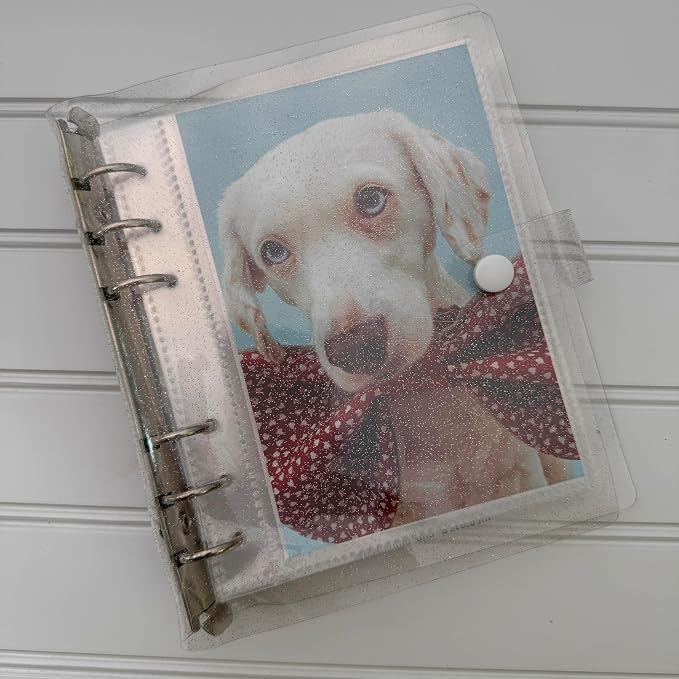Photo Album For 2X6 Photo Booth Slip In Strips And 4X6 Pictures - 6 Ring Notebook Binder With 20 2 By 6 Sleeves - Fits 80 Photobooth Prints (CLEAR SPARKLE, 4X6) by SMILEWAVE