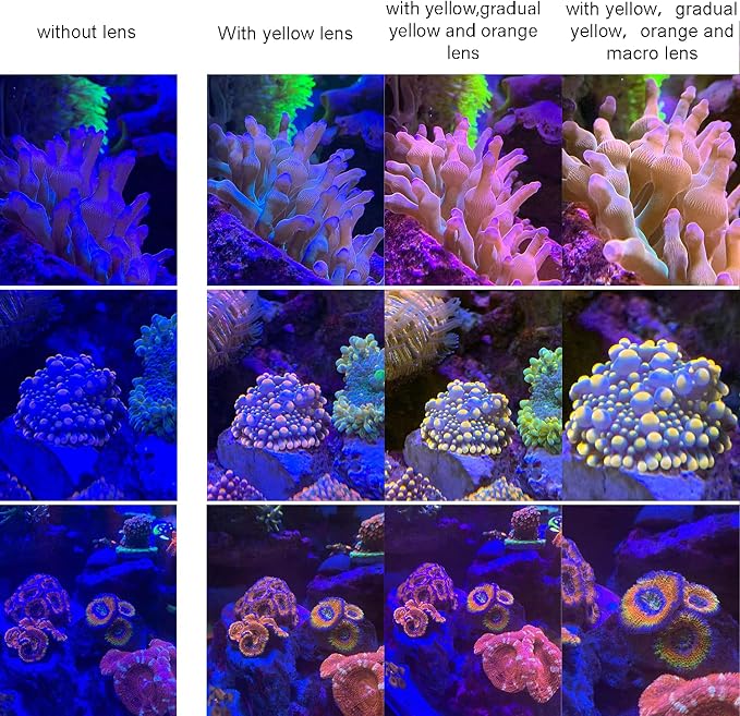 Coral Lens Set, Smartphone Reef Lens Kits, 1 Dust Case, 2 Clips, 8 Lenses: Yellow, Orange, Gradual Yellow Orange Pink, Star6, CPL, Macro - Image 6