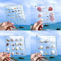 Acrylic Magnetic Seashell Display Case HD Panel with Tweezers | Large Upgraded Grids with Magnetic Snap, a Seashell Display Box for Collecting Shells, Jewelry, Crystals, Beads by MUXIUNT