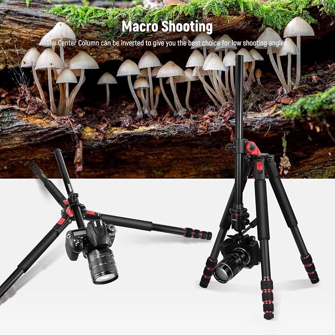 NEEWER 73.6" Horizontal Tripod with Multi Angle Center Column, Ball Head & Central Axis Platform, Heavy Duty Aluminum Camera Tripod Monopod 360° Pan 180° Tilt for Overhead/Macro Shots, Max Load 22lb - Image 7