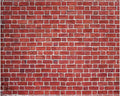10 x 8 ft Red Brick Wall Backdrop Fabric Brick Photo Background | Large Polyester Brick Backdrop Cover for Photoshoot Home Fireplace Decoration, Newborn Birthday Party Decor by VitalCozy