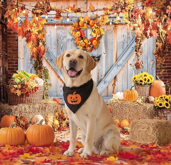 Fall Photo Backdrops for Photography, Thanksgiving Decorations 8x6ft | Vinyl Autumn Background for Photoshoot, Orange Pumpkin Maple Leaves, for Outdoor Party, Friendsgiving Decor - Image 6