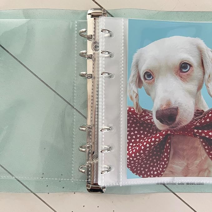 Photo Album For 2X6 Photo Booth Slip In Strips And 4X6 Pictures - 6 Ring Notebook Binder With 20 2 By 6 Sleeves - Fits 80 Photobooth Prints (SEAFOAM SPARKLE, 4X6) - Image 2