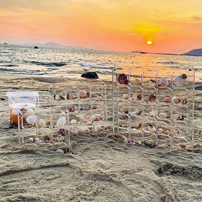 Acrylic Magnetic Seashell Display Case HD Panel with Tweezers | Large Upgraded Grids with Magnetic Snap, a Seashell Display Box for Collecting Shells, Jewelry, Crystals, Beads - Image 5