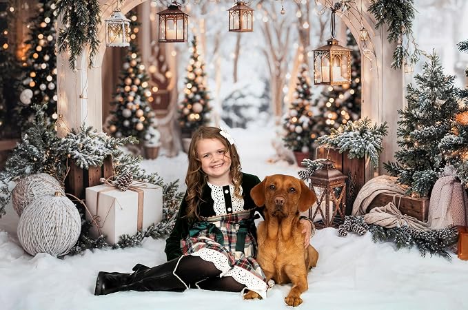 Kate Christmas Arch Door Backdrops Winter White Snow Land Photo Background Party Supplies Stduio Props, 7x5ft - Image 2