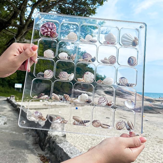 Acrylic Magnetic Seashell Display Case HD Panel with Tweezers | Large Upgraded Grids with Magnetic Snap, a Seashell Display Box for Collecting Shells, Jewelry, Crystals, Beads - Image 4