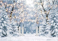 12x8FT Blue Winter Forest Scene Photography Backdrop Wonderland Snowflake Landscape Background for Christmas Xmax Family Holiday Party Decorations Supplies Banner Picture Photo Studio Props by Felortte