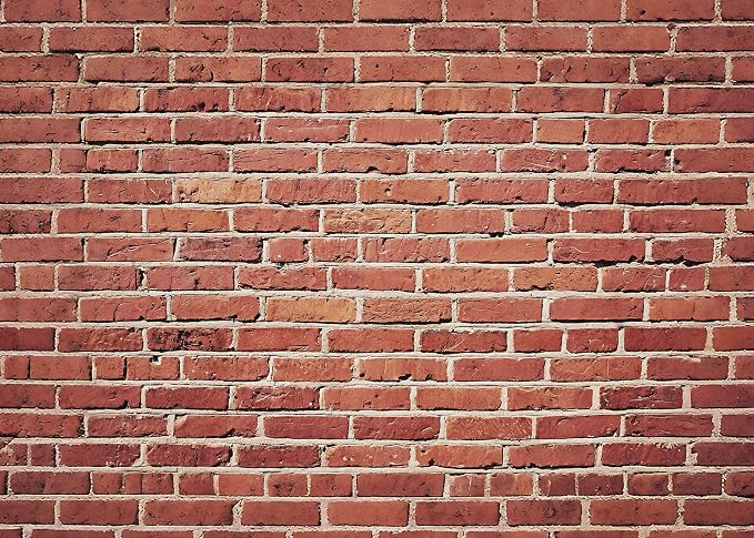 10x6.5 Ft Brick Wall Backdrop Red Brick Photo Backdrop | Background for Halloween Party Christmas Halloween Decoration Photo Booth Prop Banner by Dormirpilow